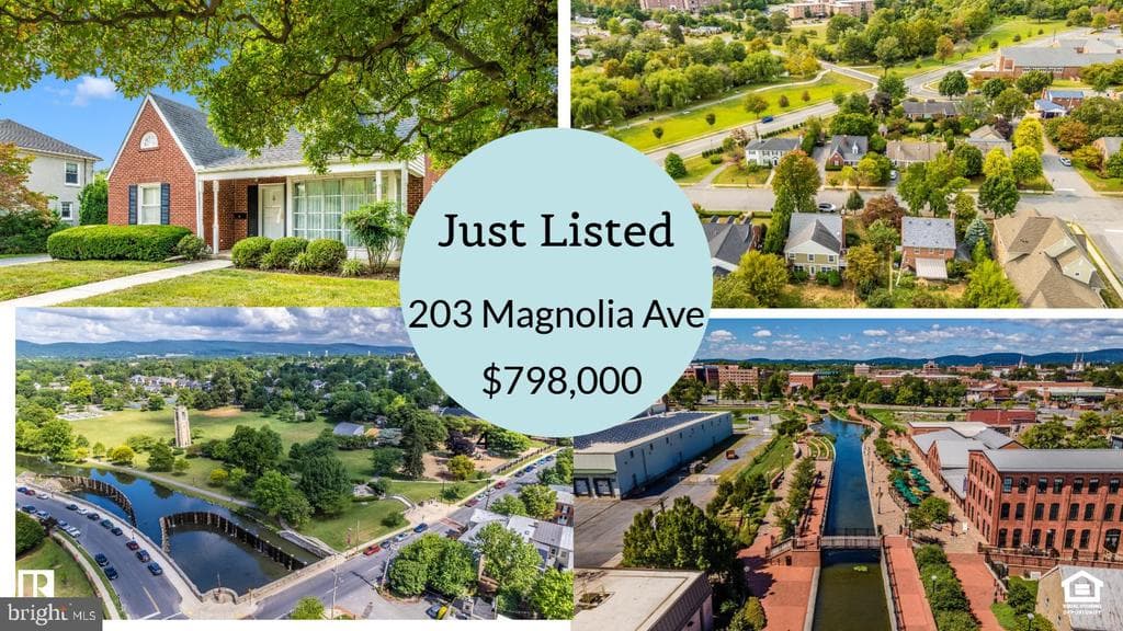 203 Magnolia Avenue photo 1