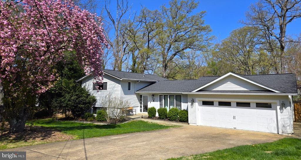 4202 Adrienne Drive photo 1