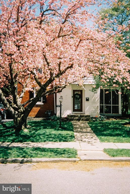 115 Atkins Avenue photo 1