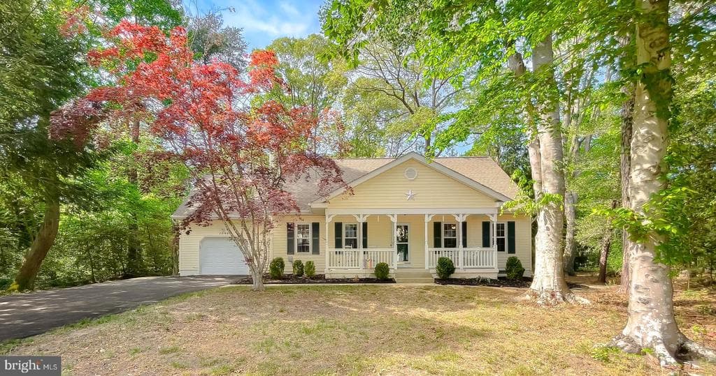 23159 Grey Squirrel Lane photo 1