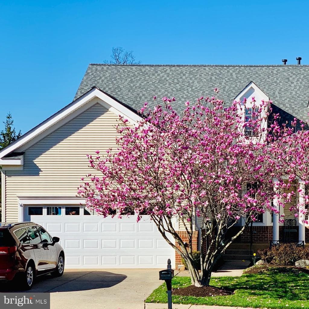 13743 Currant Loop photo 1