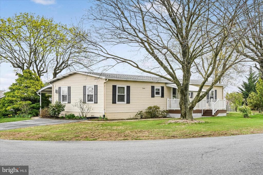 29 Carol Ann Drive photo 1