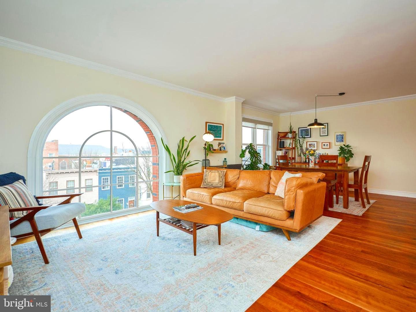 1020 Pennsylvania Avenue SE #504 photo 1