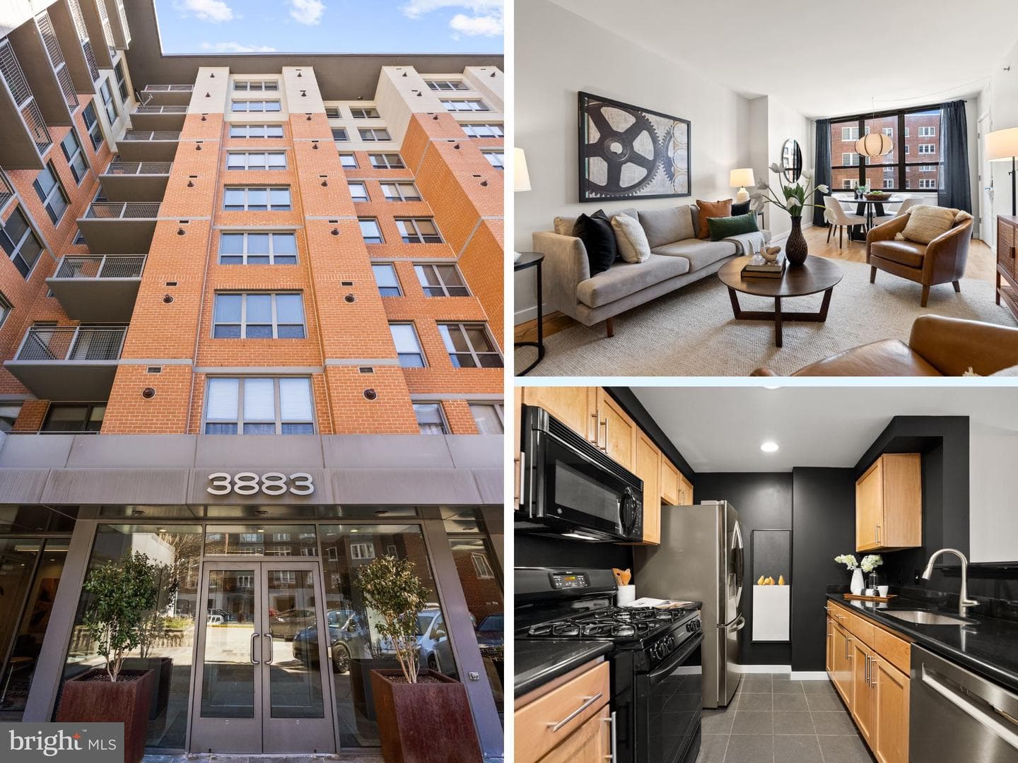 3883 Connecticut Avenue NW #303