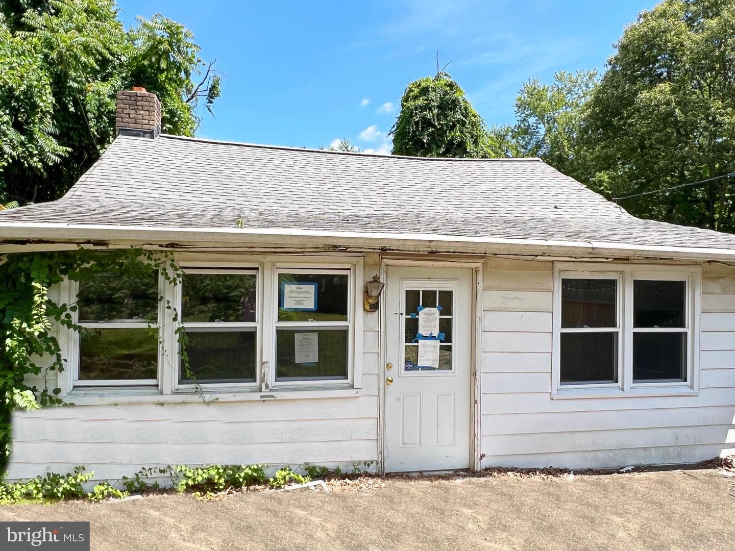 117 Forest Road photo 1