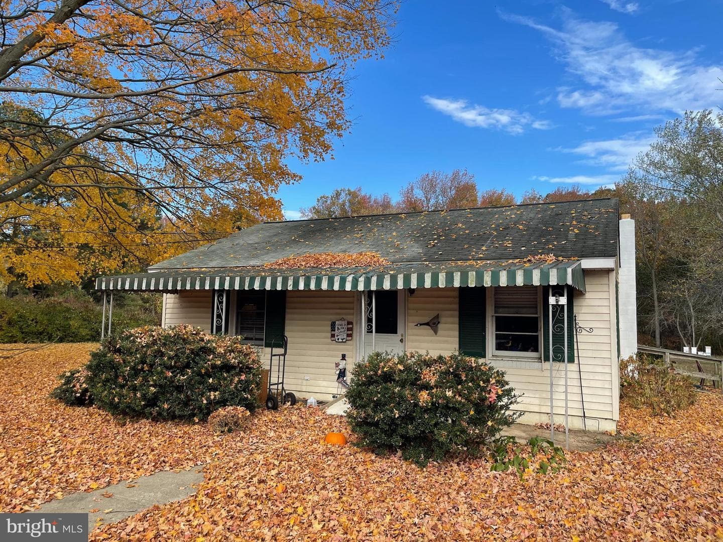 730 Shady Oaks Road photo 1