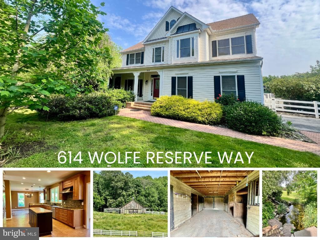614 Wolfe Reserve Way photo 1