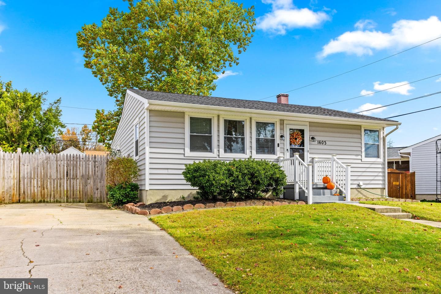 1603 Sunshine Street photo 1