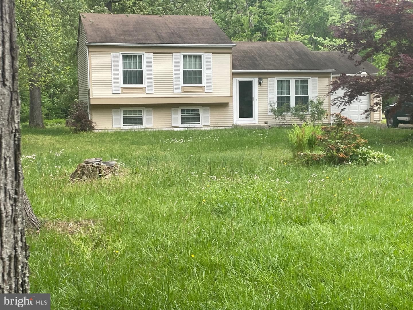 273 Severn Road photo 1