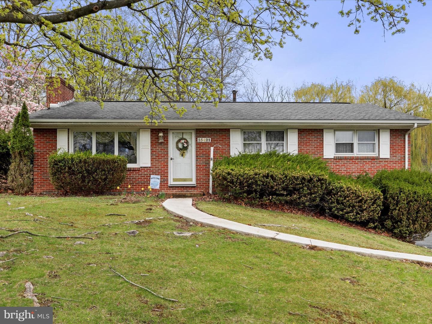 15421 Shamrock photo 1
