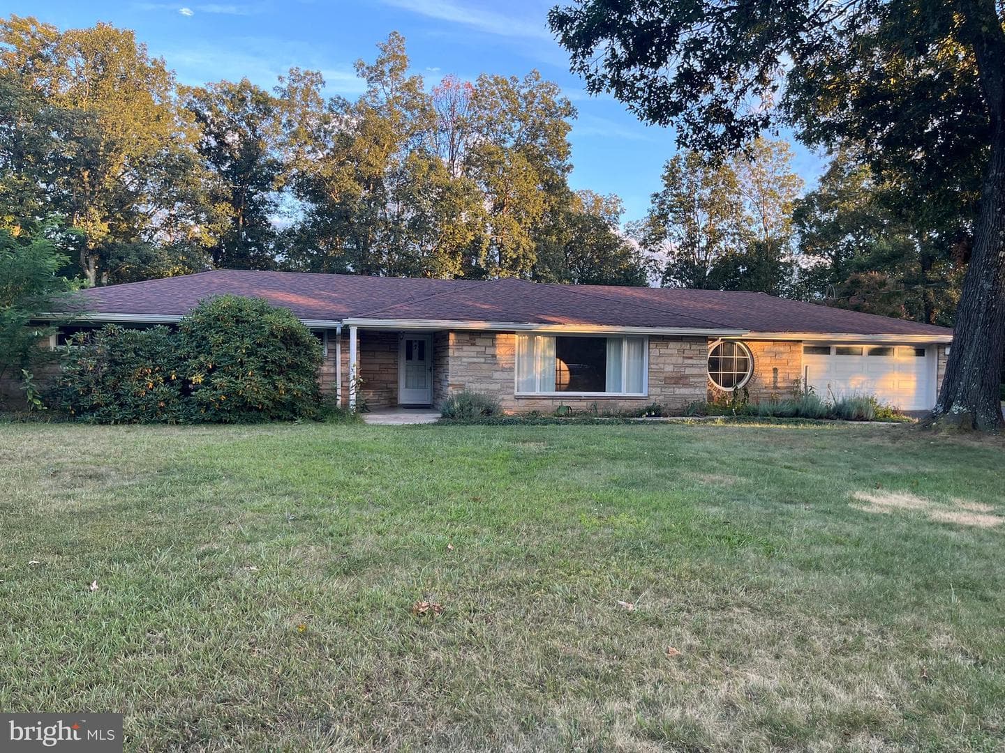 7 Forest Drive photo 1