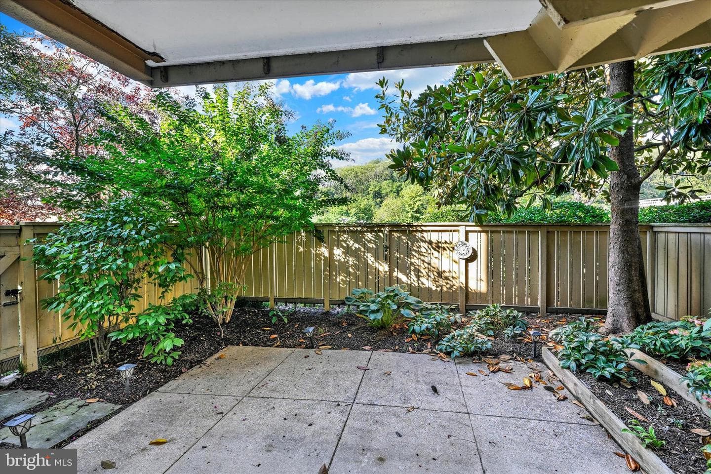 21 Hamill Road #21a photo 1
