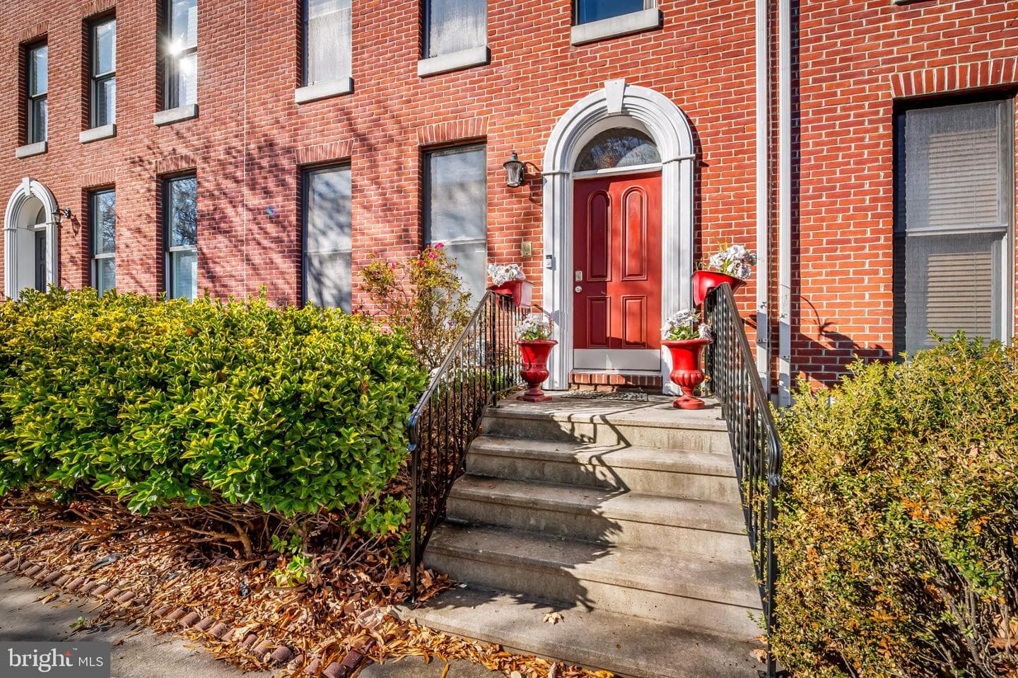 252 Robert Street photo 1