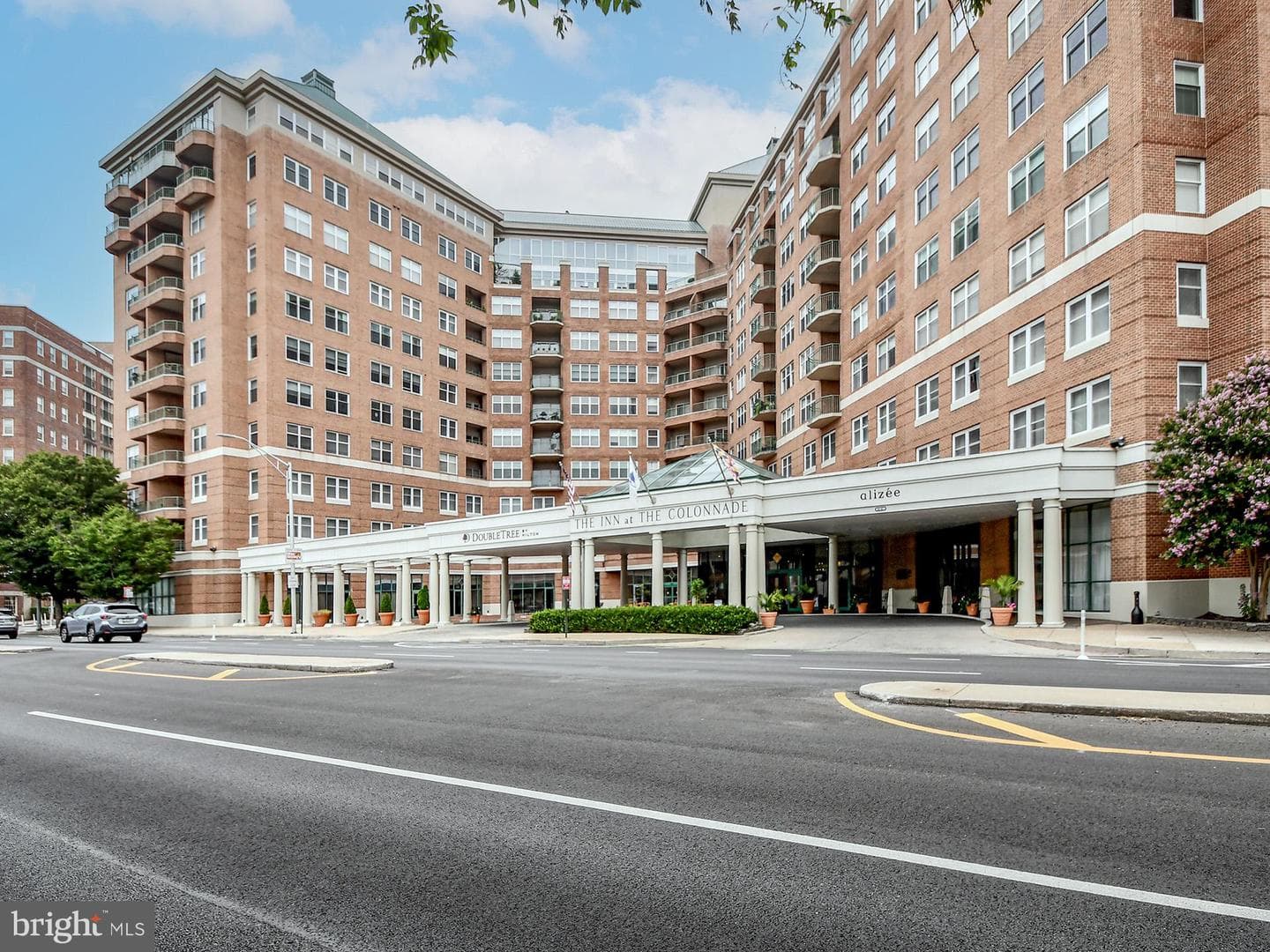 3801 Canterbury Road #710 photo 1