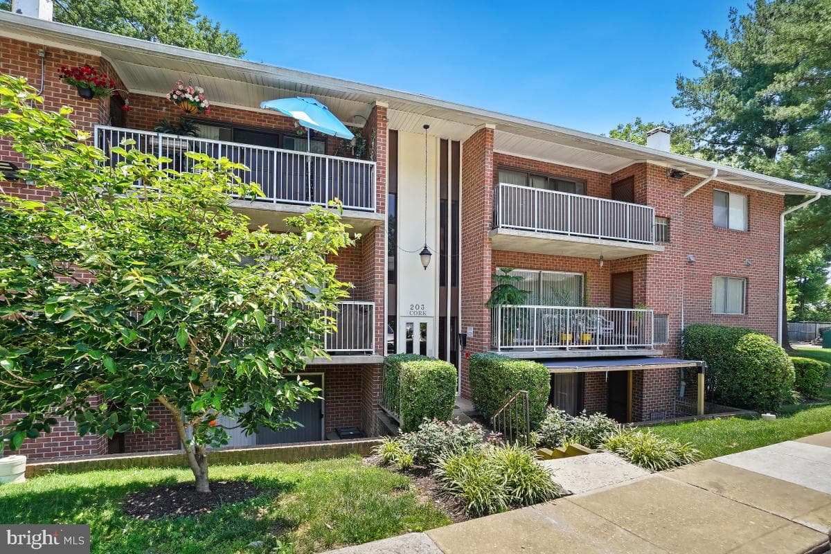 203 Cork Lane #103 photo 1