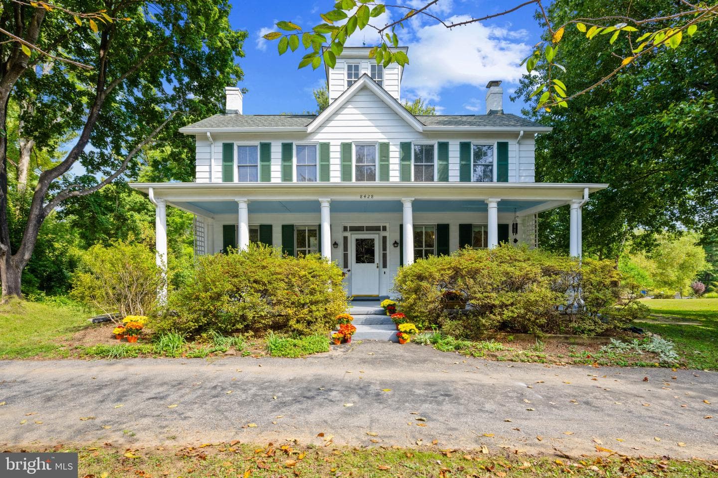 8428 Dogwood Road photo 1