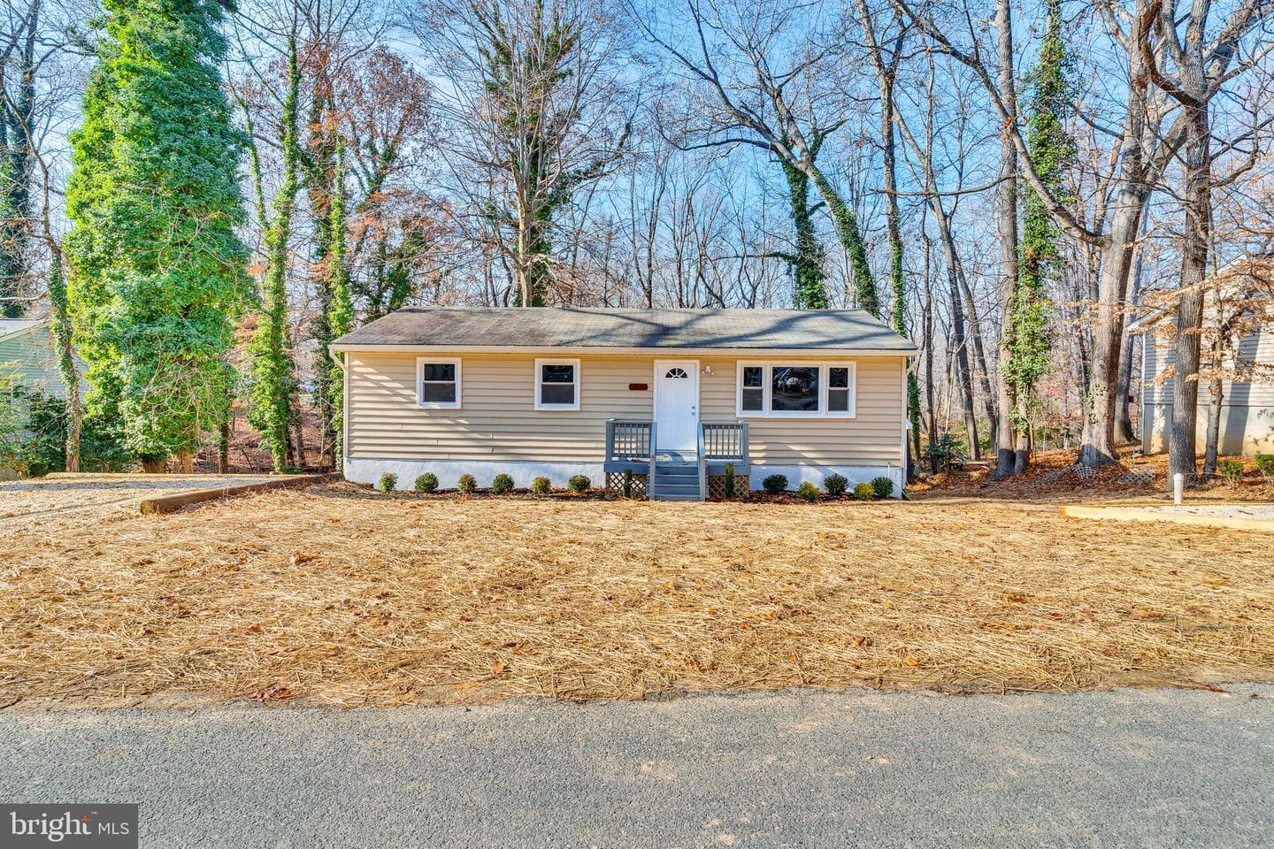 11553 Senora Lane photo 1