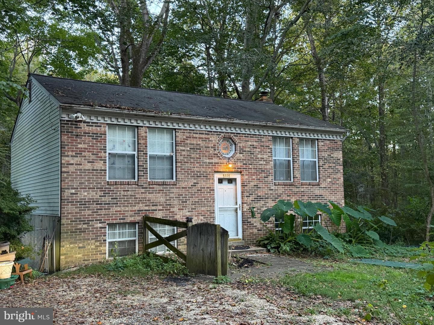 8446 Pine Boulevard photo 1