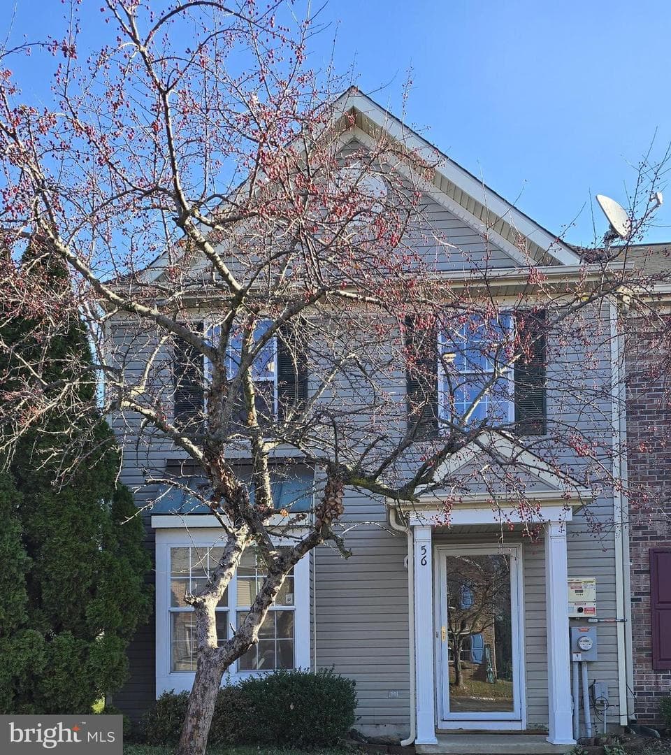 56 Oxford Court photo 1