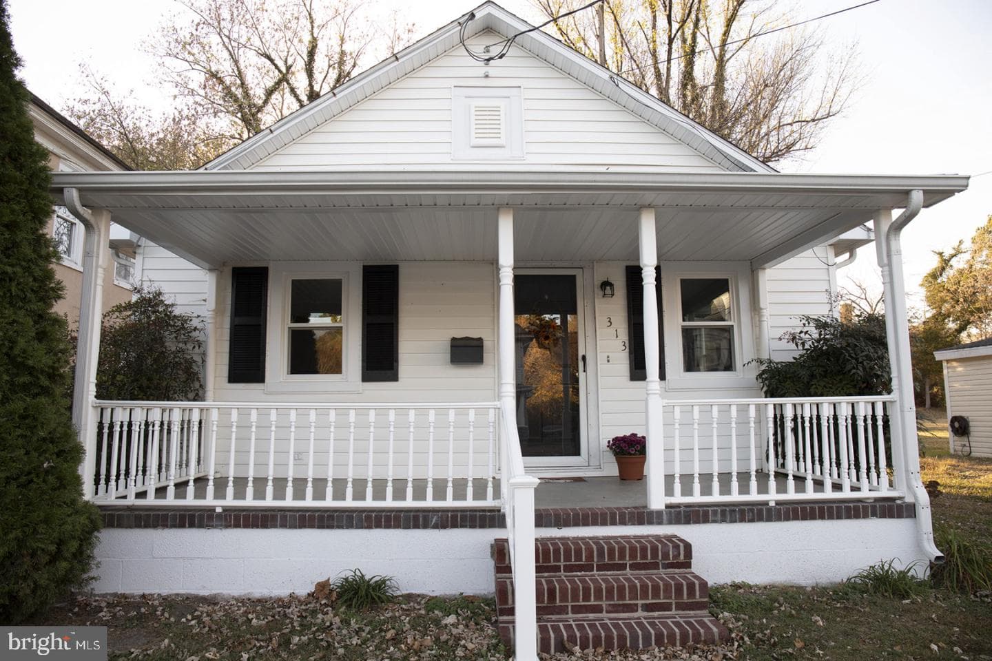 313 Holt Street