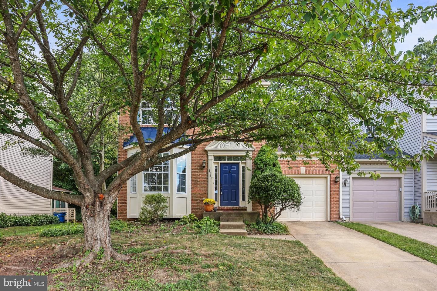 1159 Canon Way