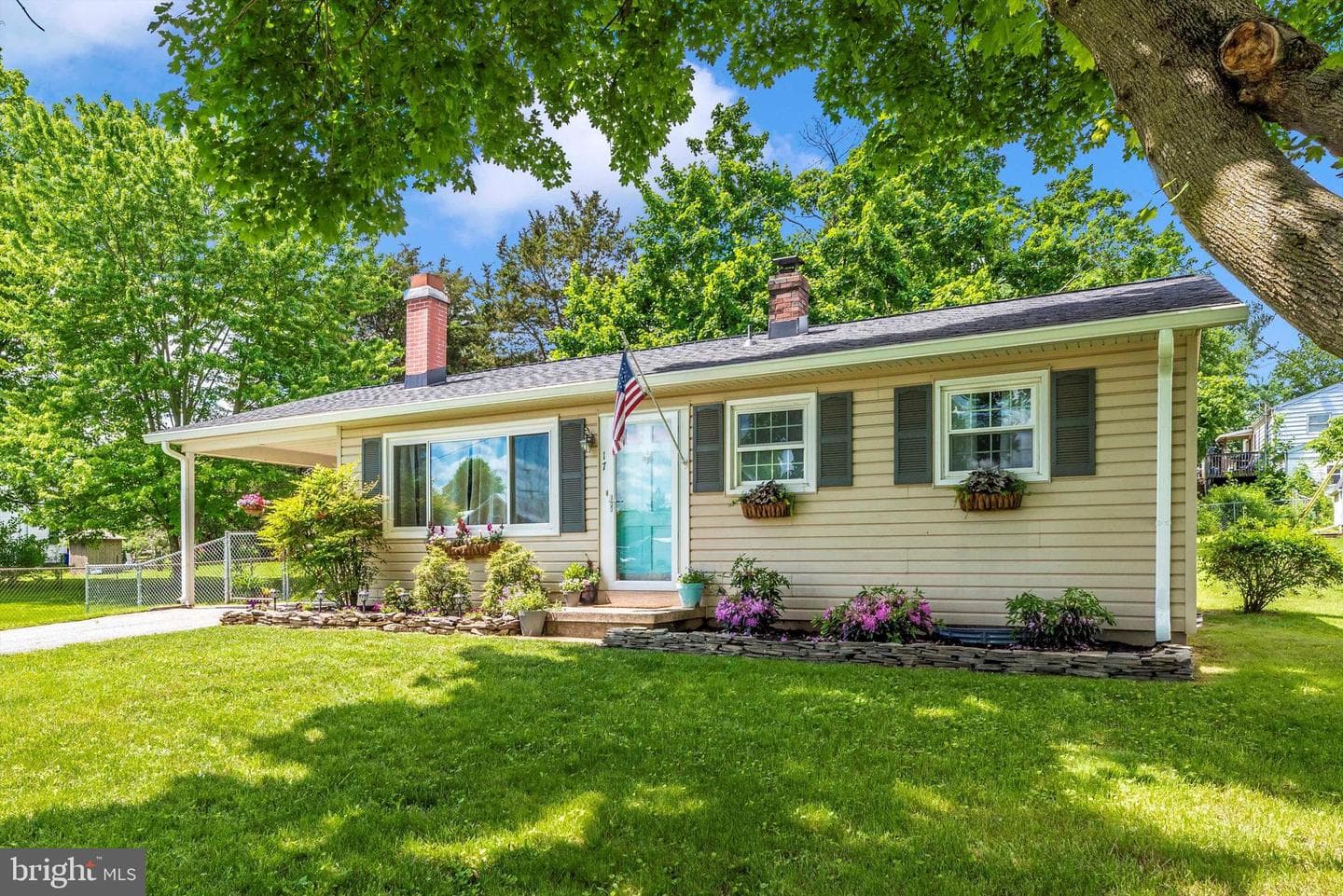 17 William Street photo 1