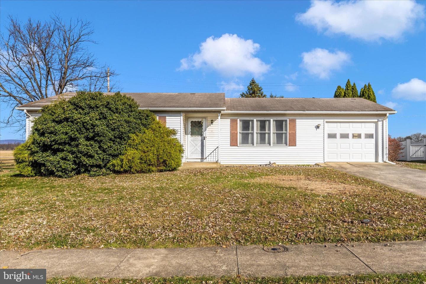 213 Albany Avenue W photo 1