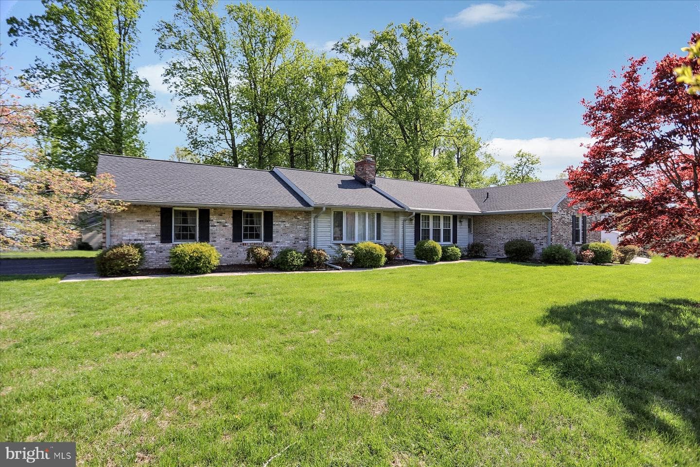 401 Sassafras Court