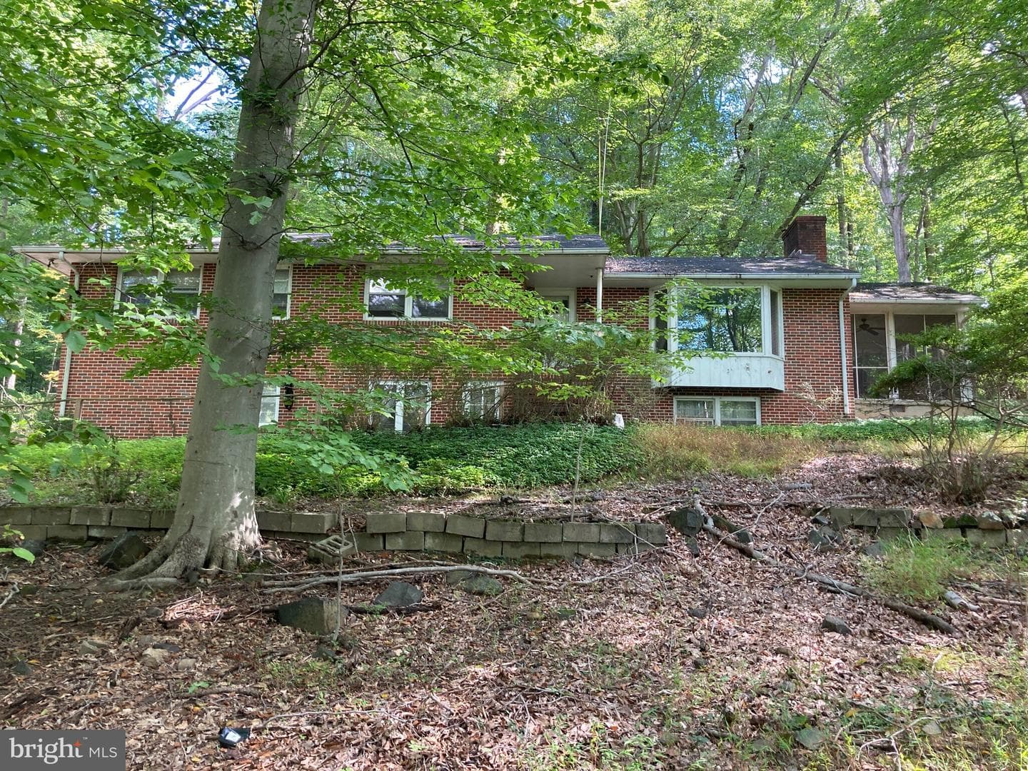 4921 Bonnie Branch Road photo 1