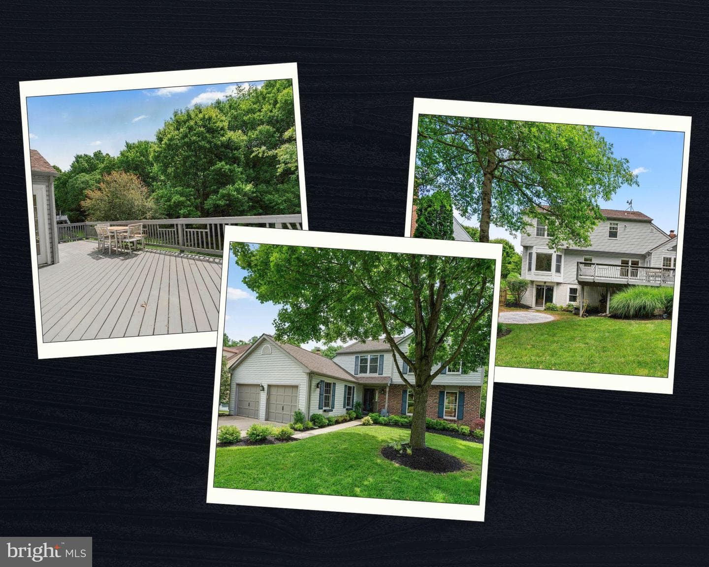 3131 Kings Court