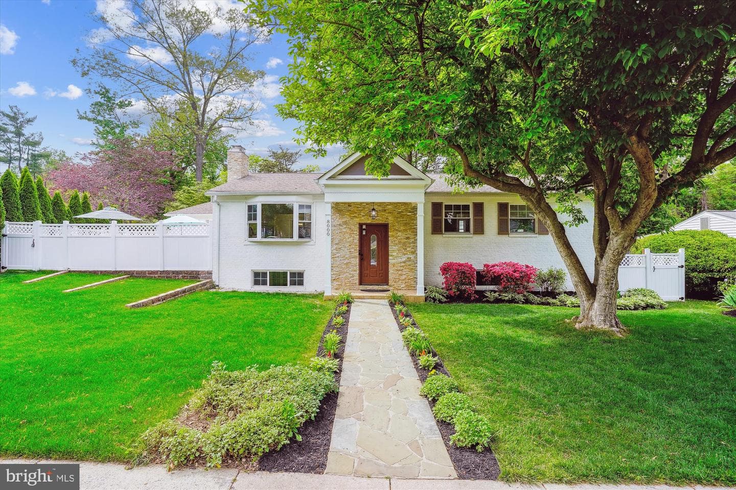 8000 Beech Tree Road photo 1