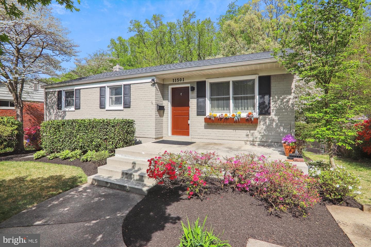 11501 Ashley Drive photo 1