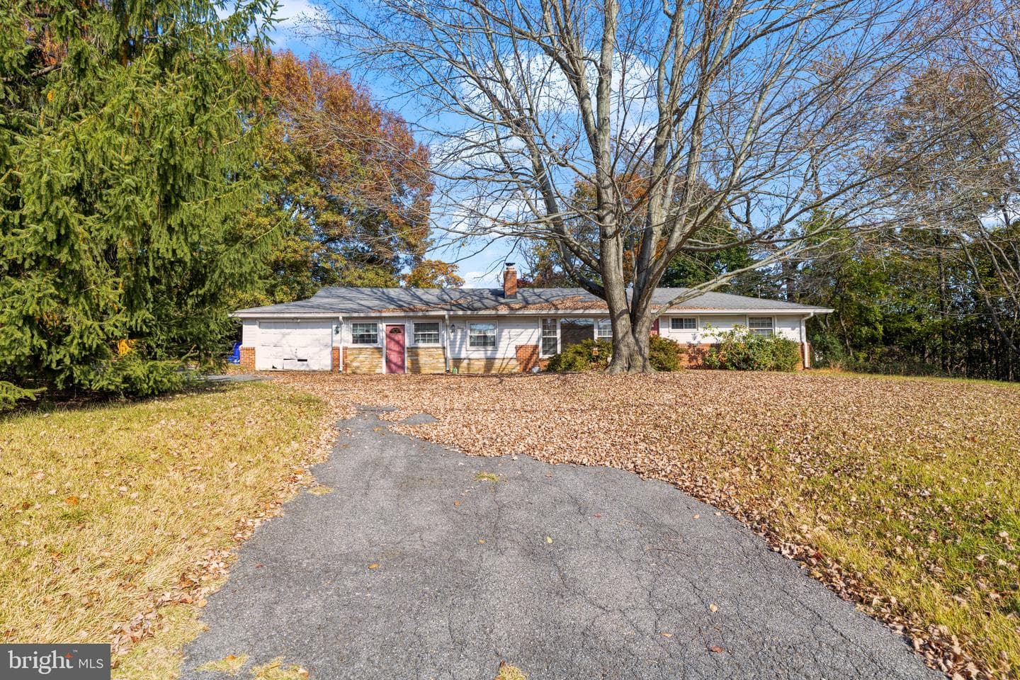 24411 Woodfield Road photo 1
