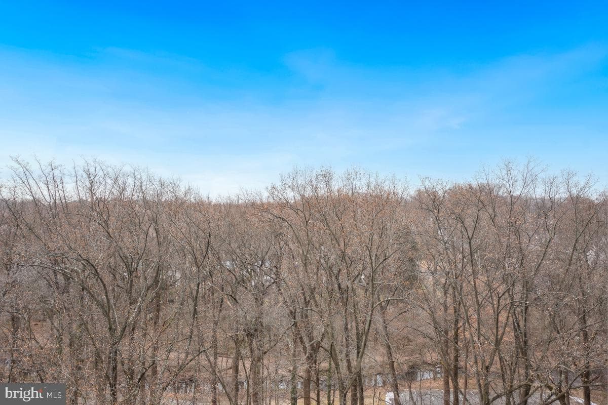 9039 Sligo Creek Parkway #903 photo 1
