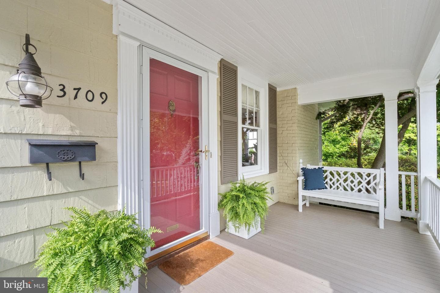 3709 Shepherd Street photo 1