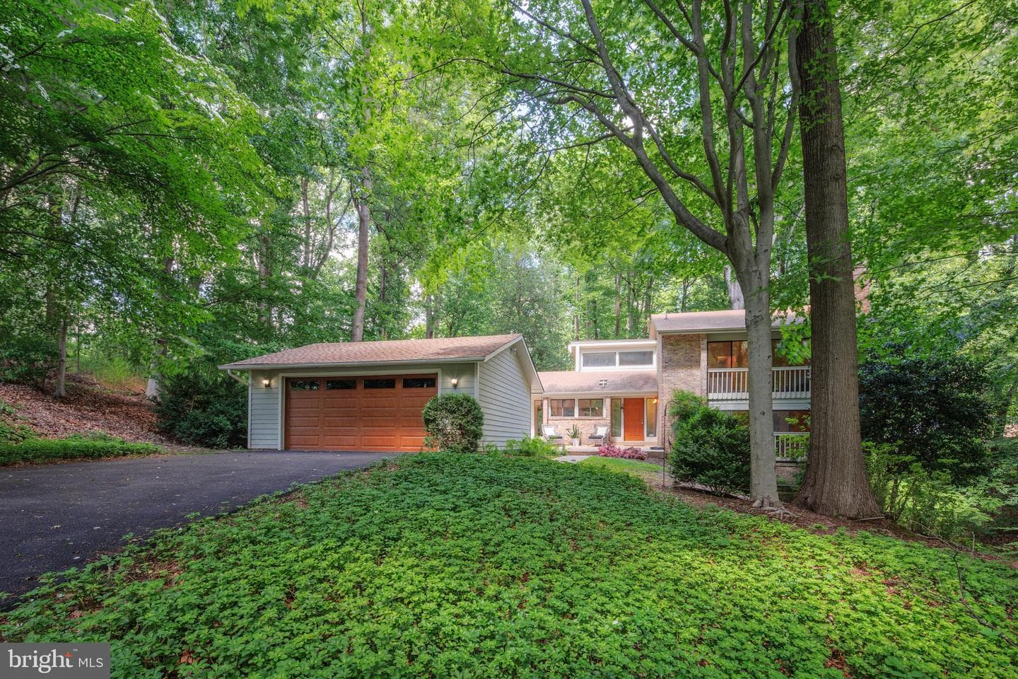 6921 Carlynn Court photo 1