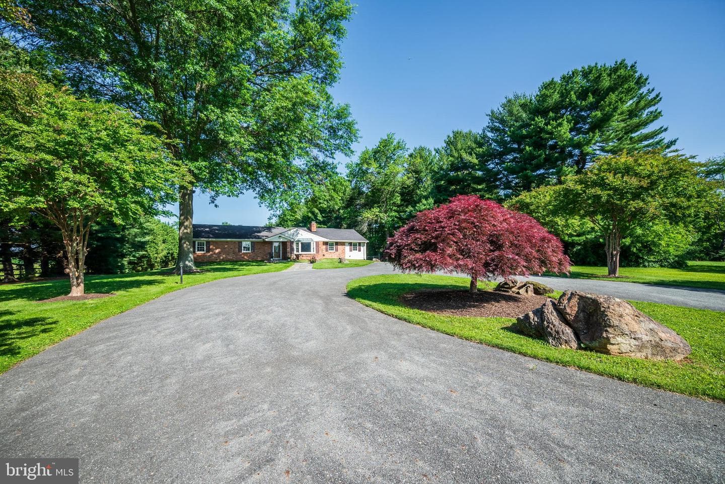 21020 Peach Tree Road photo 1