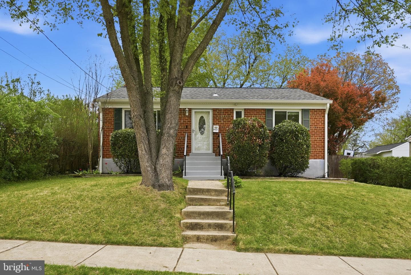 4421 Jupiter Street photo 1