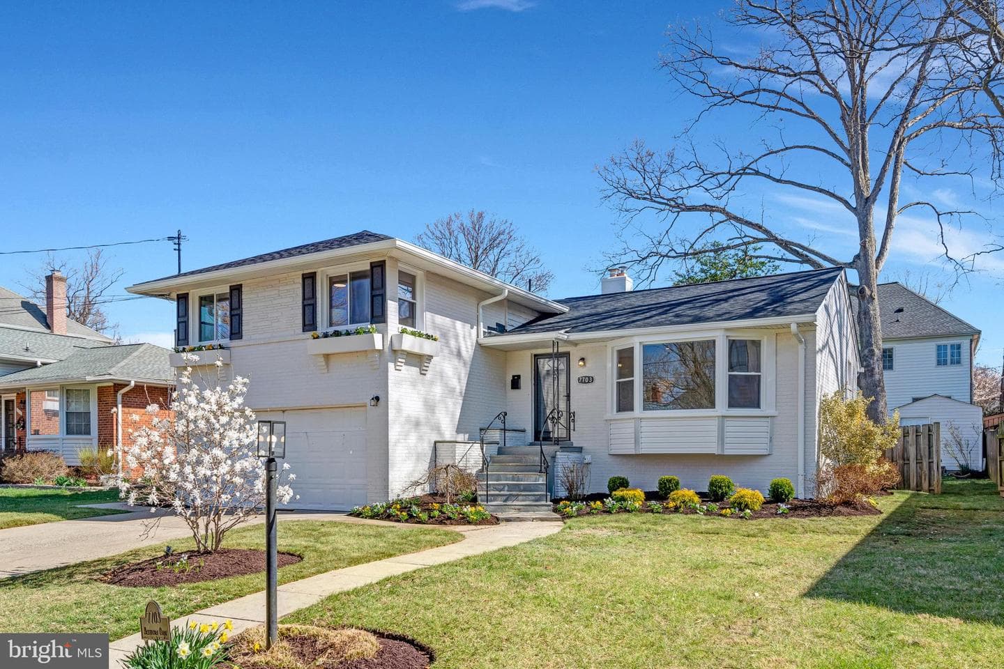 7703 Newmarket Drive