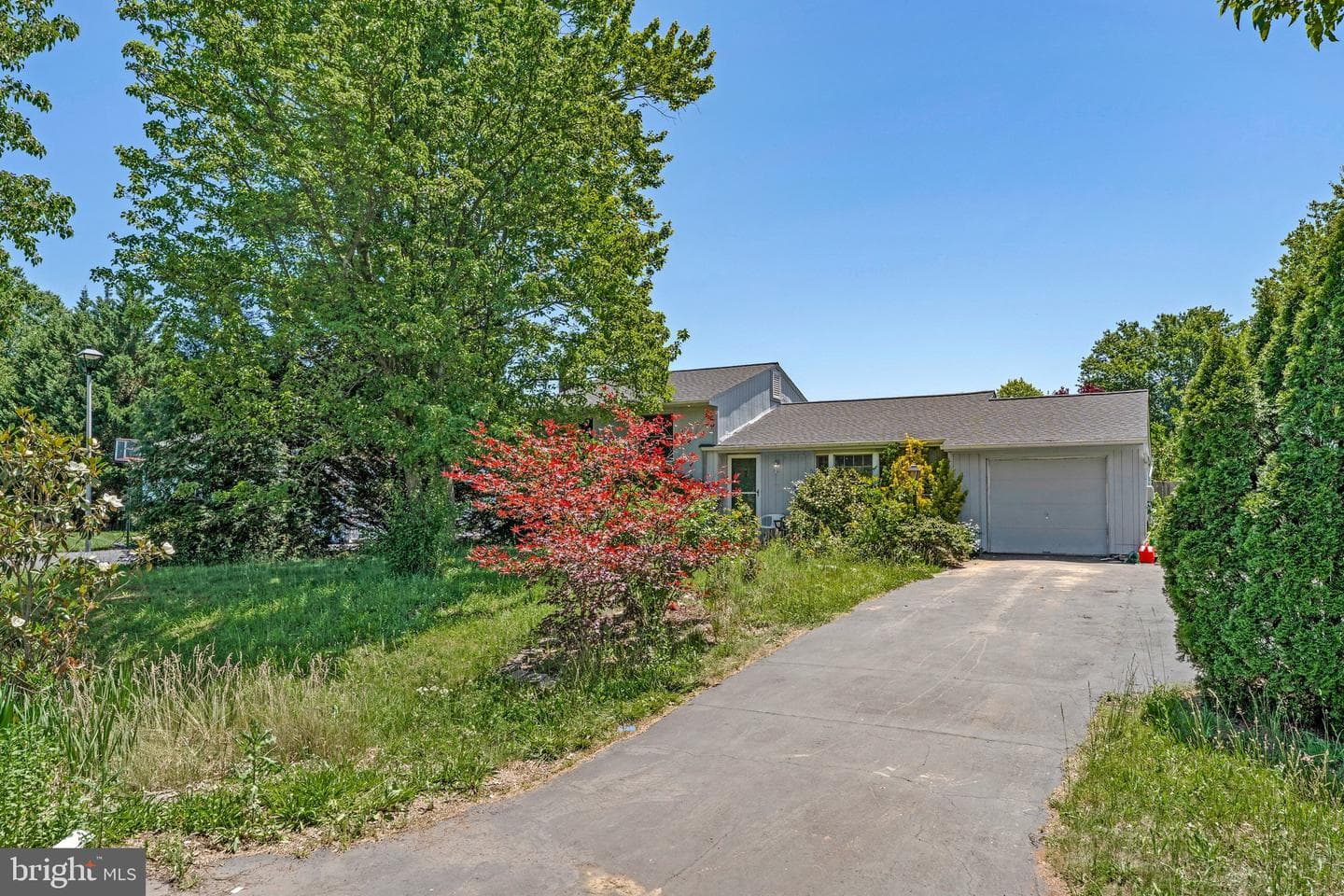 17313 Dowden Way