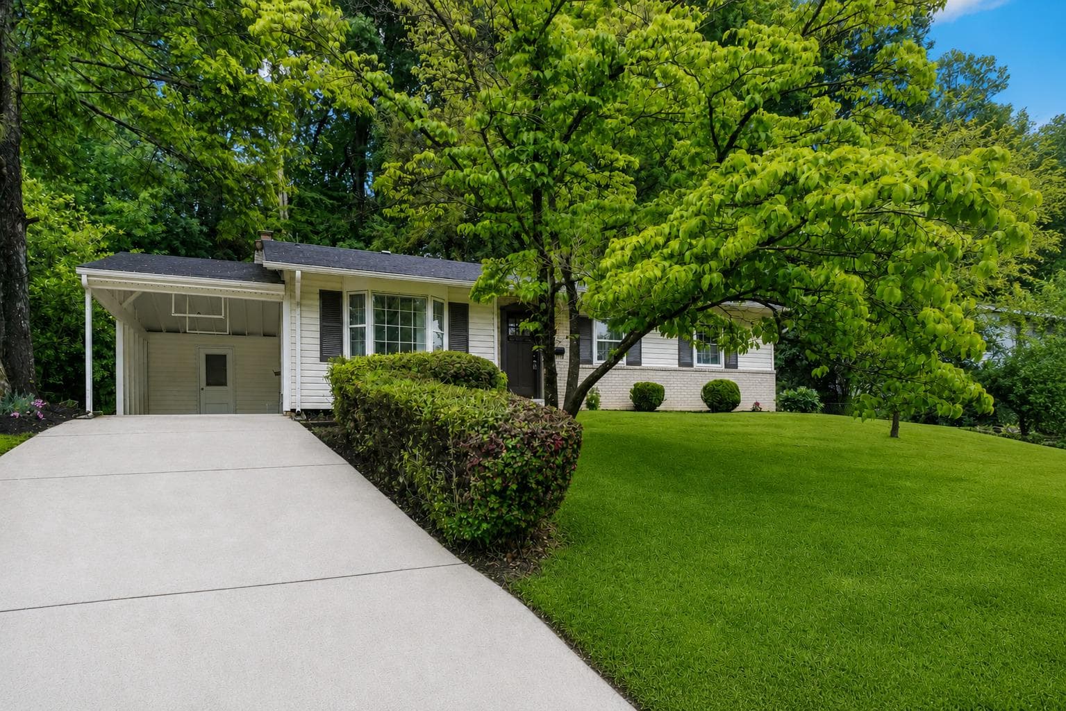 14419 Bauer Drive