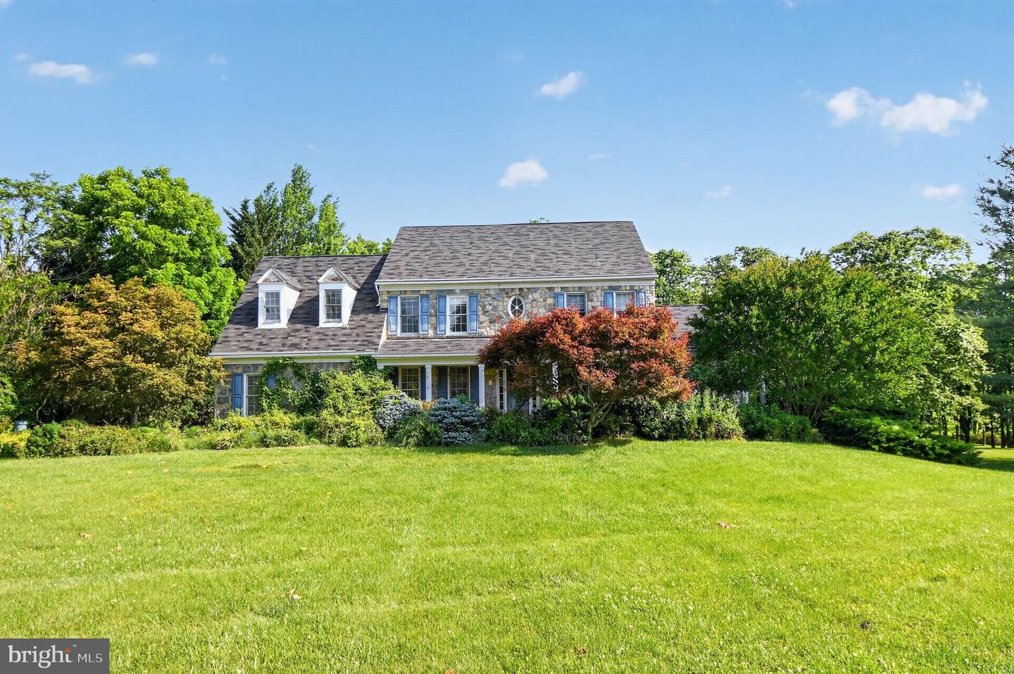 7317 Olive Tree Court