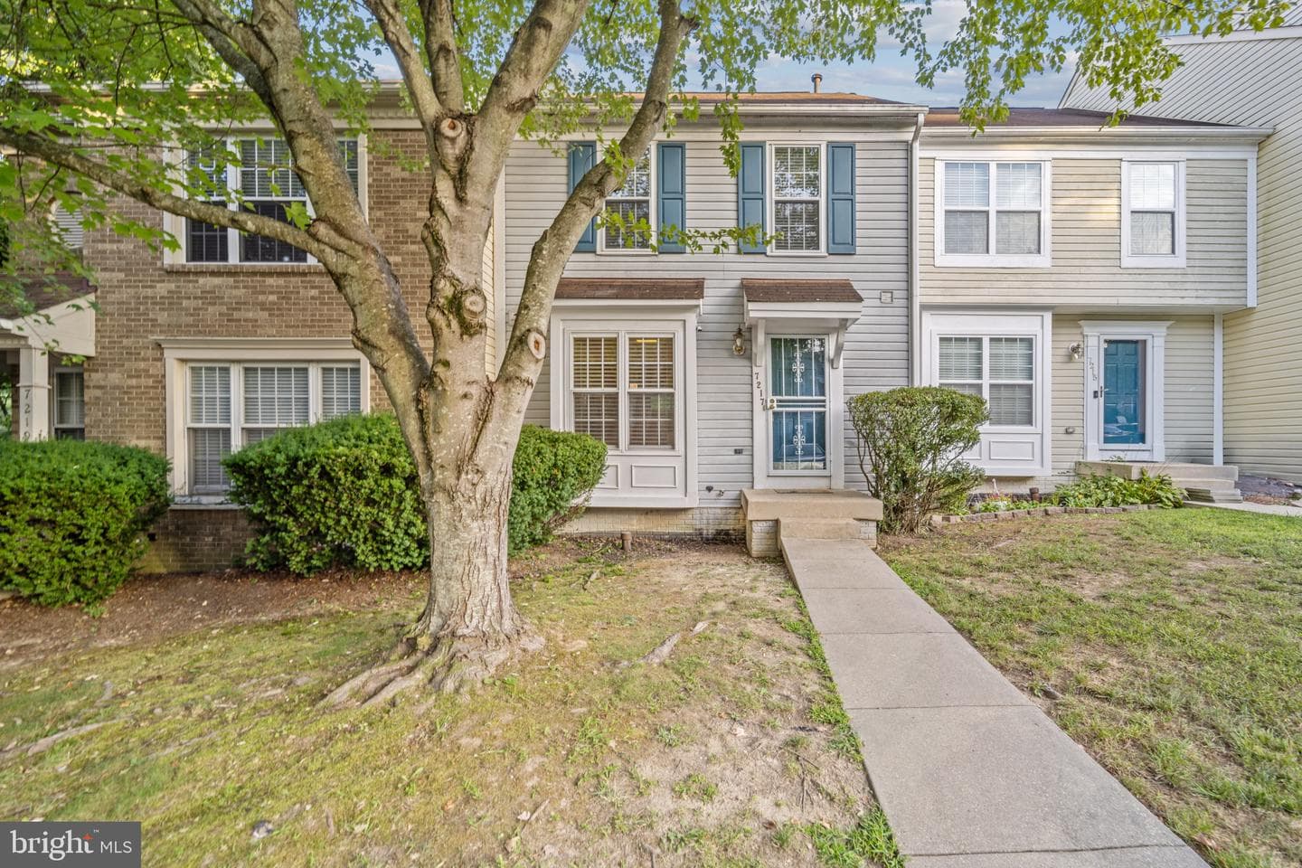 7217 Goblet Court photo 1