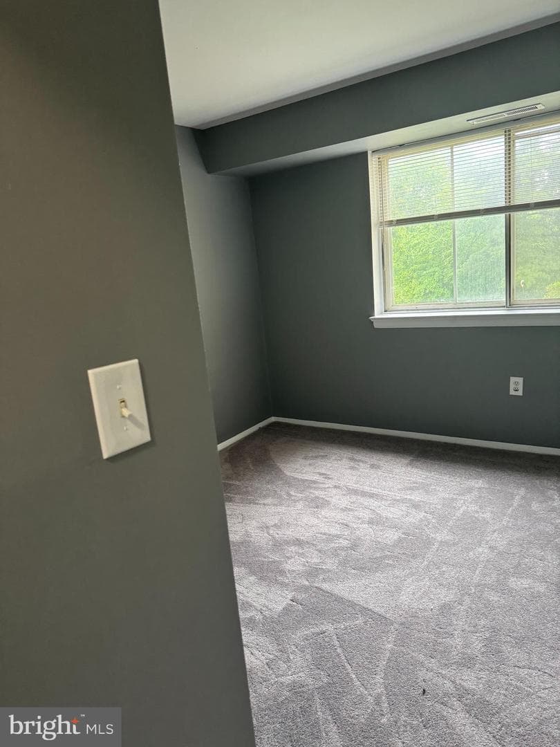 11316 Cherry Hill Road #203 photo 1