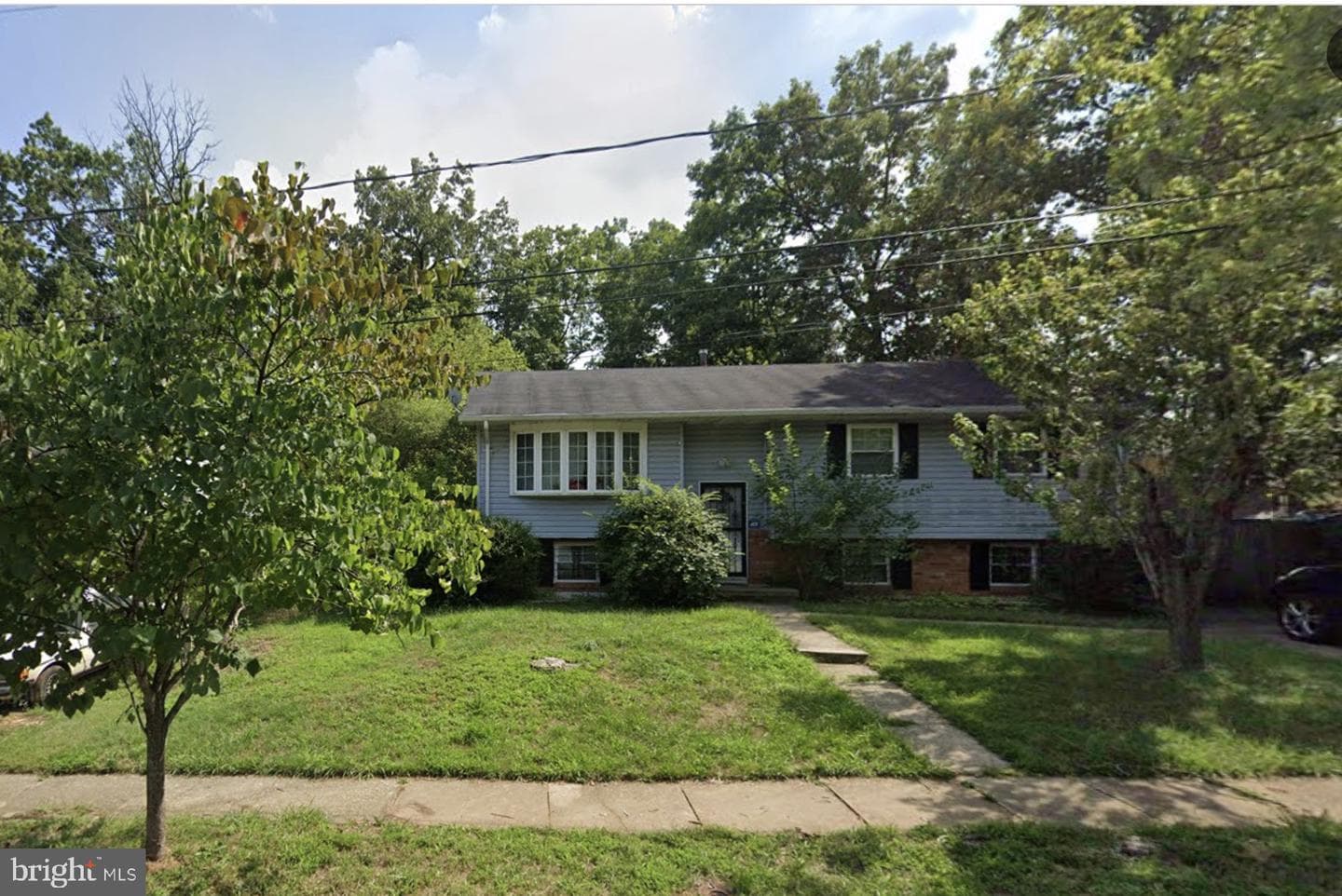 8903 1st Street photo 1