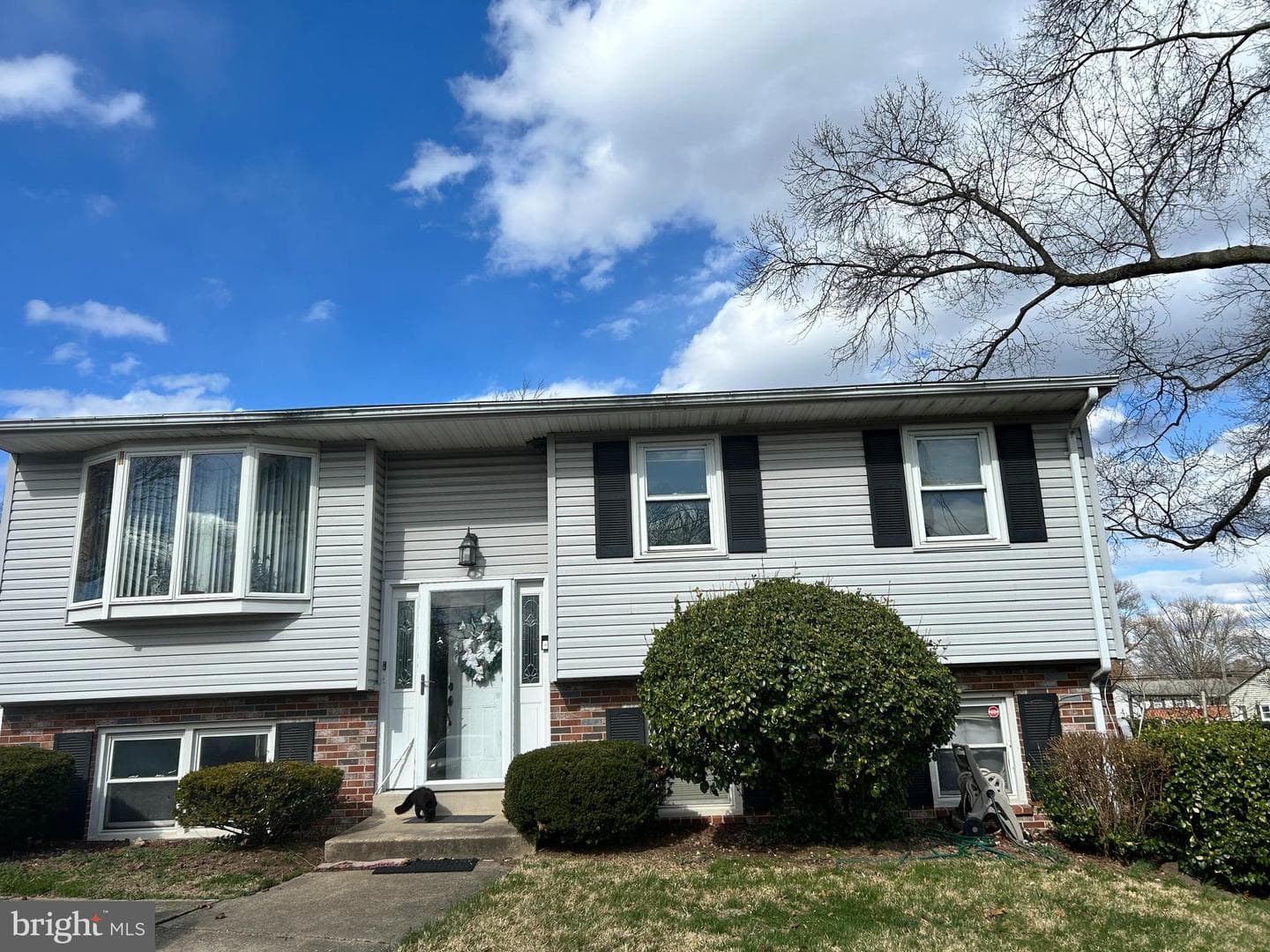 8404 Holly Street photo 1