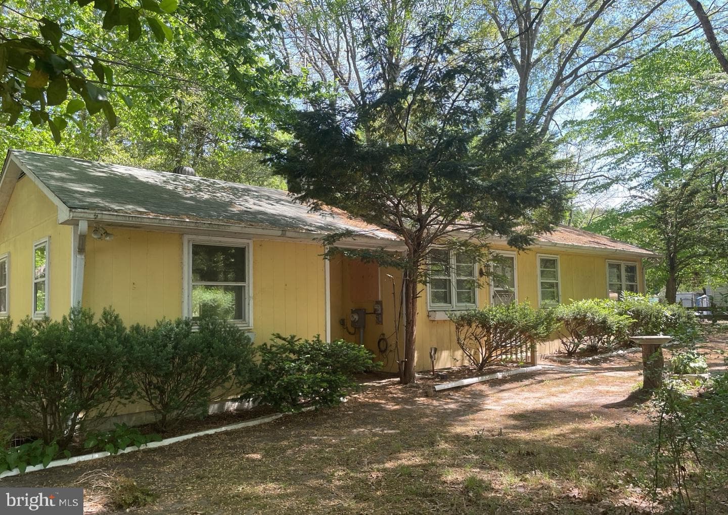 236 Merganser Drive photo 1