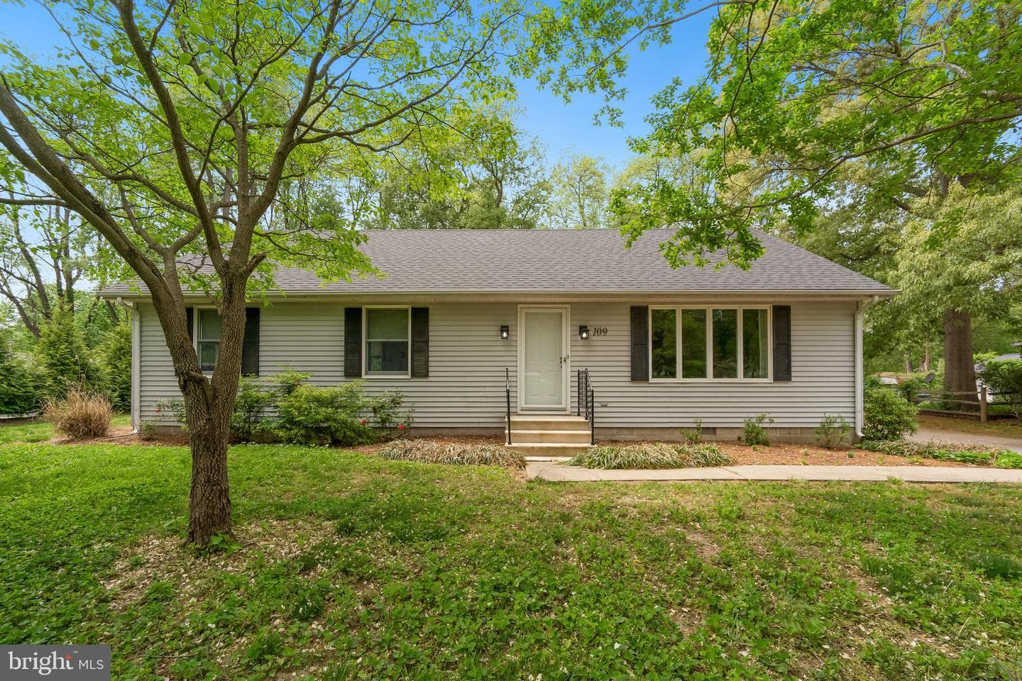 109 Edmore Road photo 1