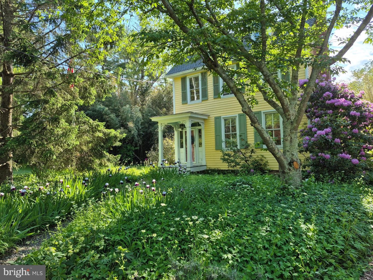 115 Watson Road photo 1