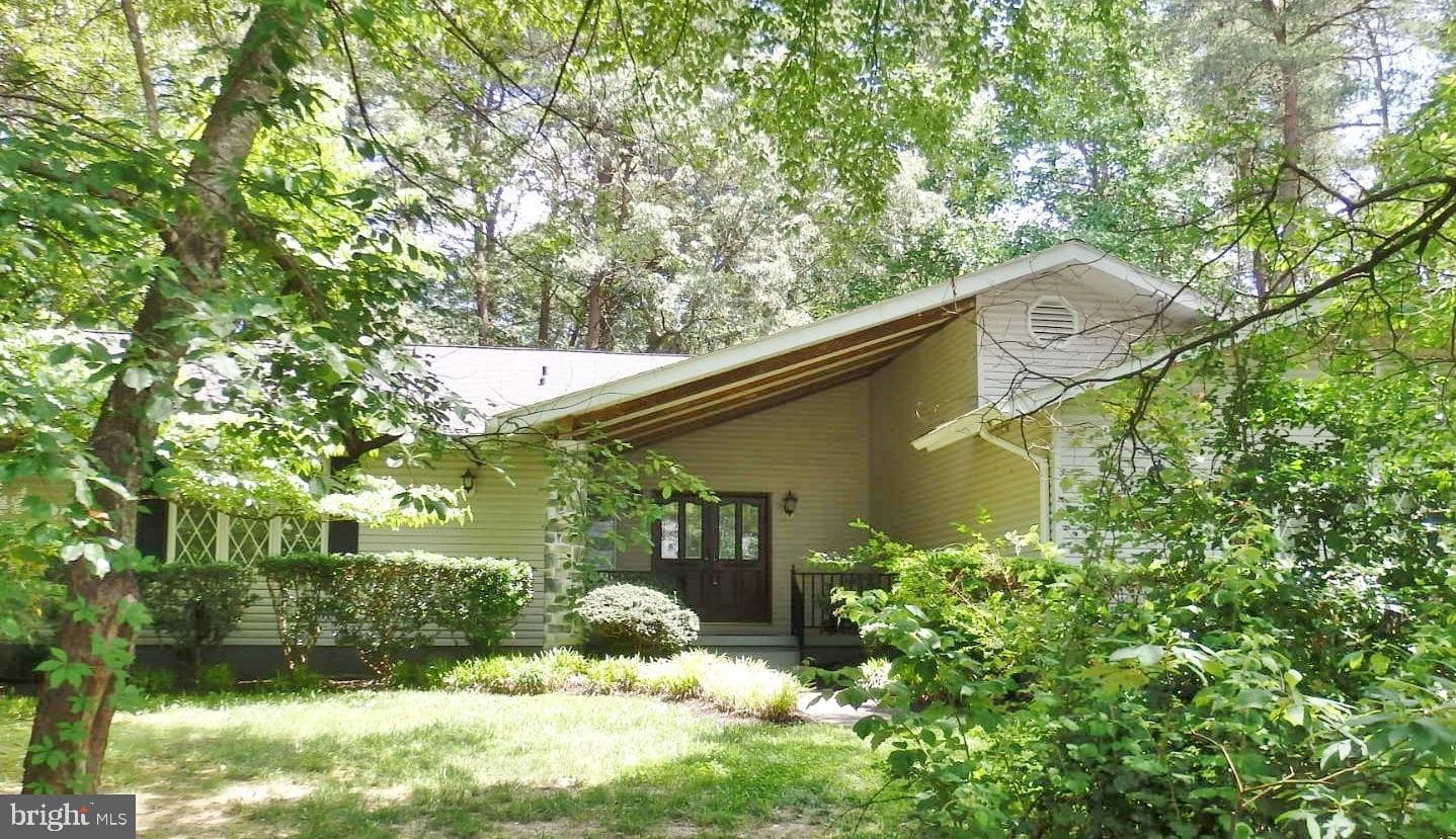 23074 Purple Plum Way photo 1